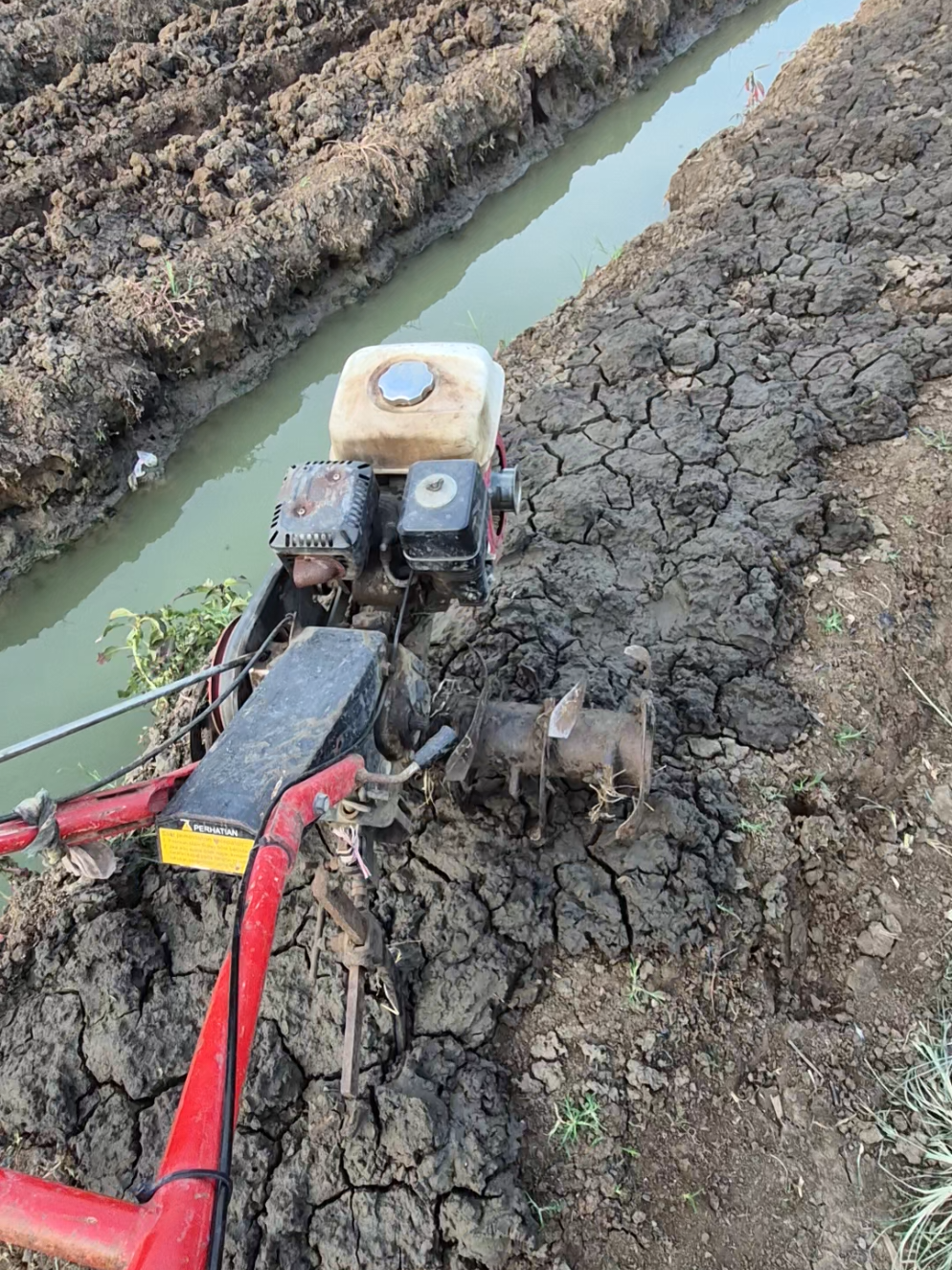 #petaniindonesia🇮🇩🇮🇩🇮🇩🌿🌿 #fypシ゚ #bawangmerah 