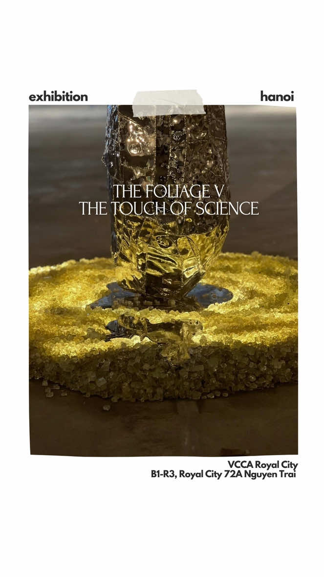 (Mở tự do) Triển lãm mới tại Hà Nội - TOẢ V: Điểm chạm khoa học đến 22/1  📍VCCA Royal City THE FOLIAGE V: THE TOUCH OF SCIENCE  #hanoi #exhibition #trienlam #trienlamnghethuat #aesthetic 