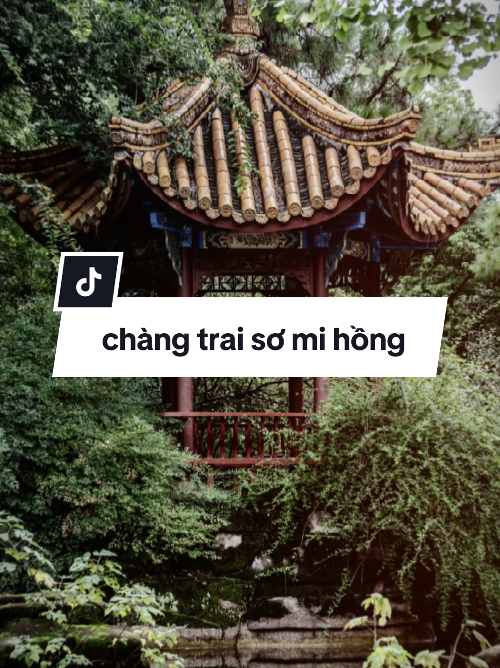 Mây trời nhẹ bay bay #CapCut #nhachaymoingay #vandat #capcutpioneer #pioneertemplate 