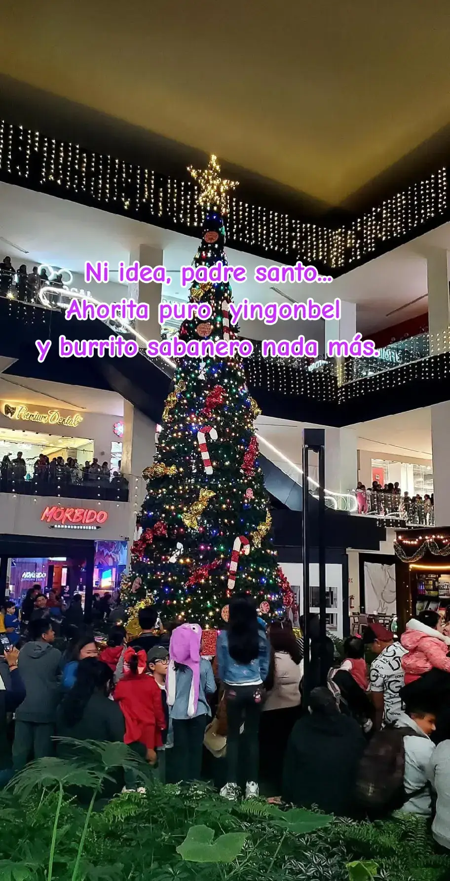 #jinglebell #burritosabanero #navidad #feliz #parati 