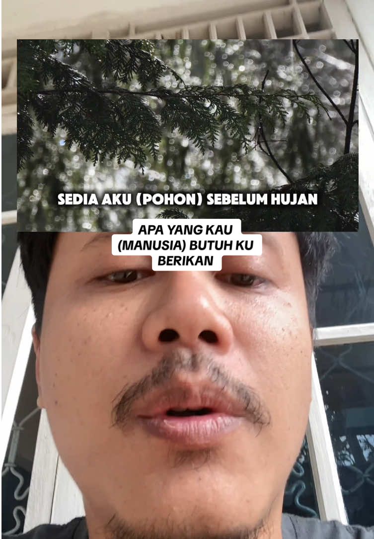 Yuk jaga hutan 🌱🌳 | thanks to @idgitaf udah buat lagu sekeren ini 😁✌️ | free to repost 🙏 #pedulilingkungan #prayforsumatera #tanampohon 