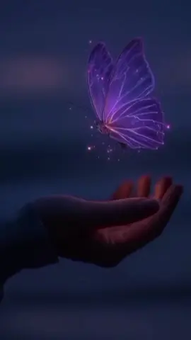 Bismillah..  ...  #Aku tahu bahwa Hidup ini bukan tentang Panjangnya Umur, Tapi bagaimana Diri ini Menghargai Setiap Detik yang ada meski tak mudah melewati hari- hari yang tak sesuai Harapanku 😌🙏🤗🌹❤ #Hidup Bukan Tentang Panjang Umur 🙏 #Bersyukur #KataHati  #Remindertomyself 