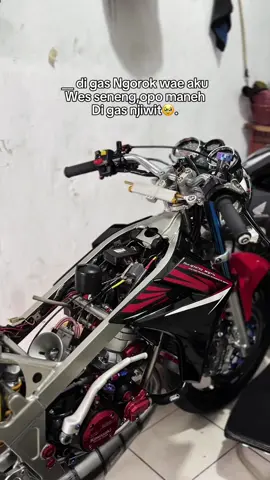 seneng e rakaruan🥹#fyypppppppppppppppppp #twostroke #ninja2tak #twostrokeindonesia #sadvibes🥀 