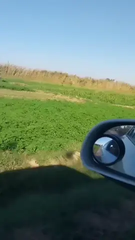 #في هذا اليوم 