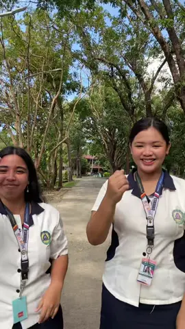 @｡◕‿◕｡ @Twisha @ritsi @avocado.frappe @Charliz🤍 