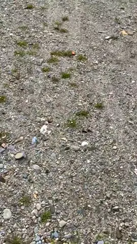 kita berangkatkan 2 kali ke satu tempat.. okhey sihh 🫡🫡#TisyaMeubel✌🏻 #MeubelBalap #MeubelStory #COD#padahariini  #PejuangNafkah 