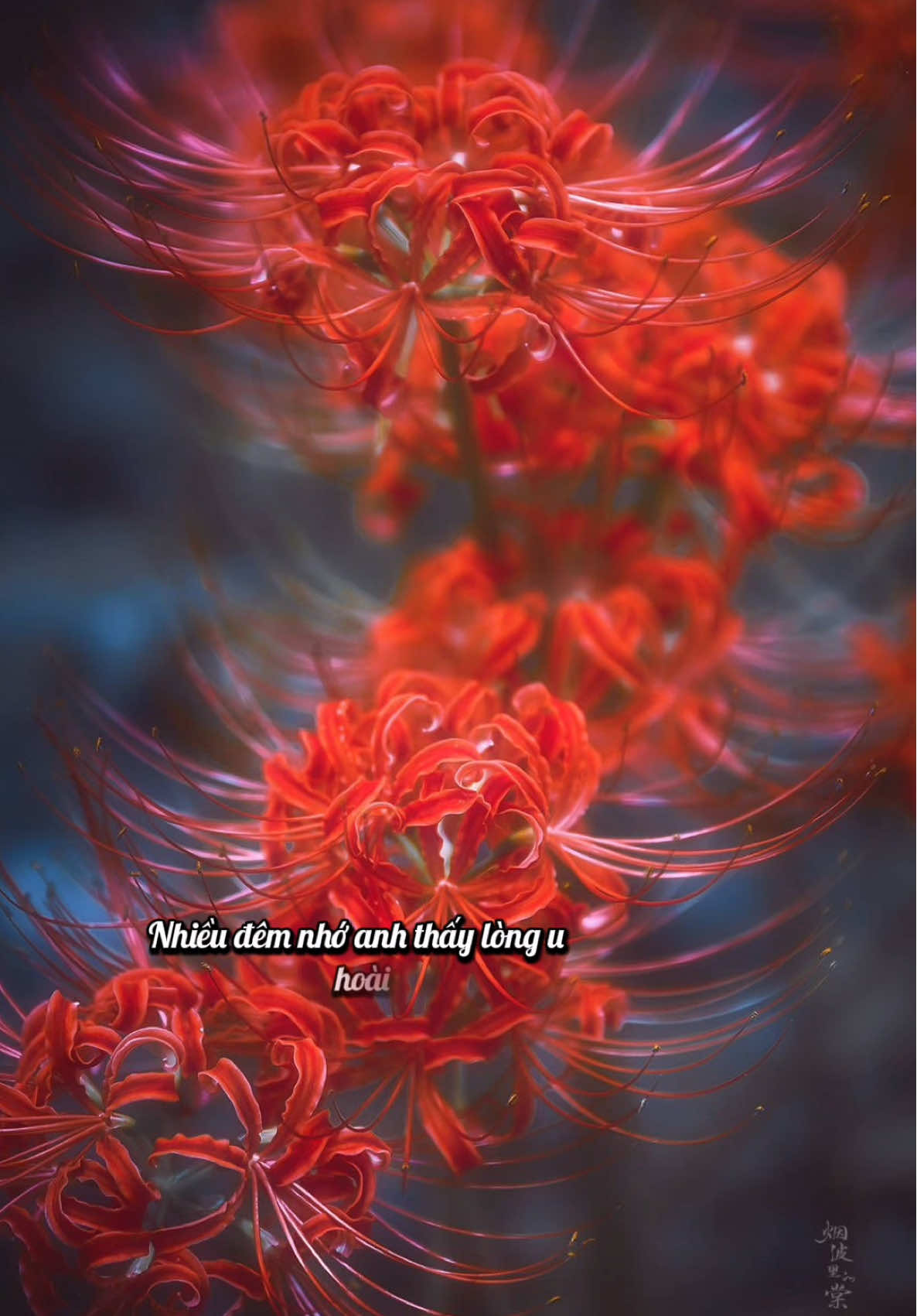 Tôi từng đọc đâu đó : “Người bình yên nhất là người biết trân trọng mọi thứ, kể cả nỗi buồn. Người đi xa nhất là người biết nhặt lấy từng nỗi buồn, nhặt lấy từng nghịch cảnh nghịch duyên rồi đốt cháy chúng để làm năng lượng cho cuộc hành trình phía trước. Người thương cuộc sống nhất là người thương được cả từng nỗi đau.” Tôi thích nghe những người ngược giông ngược gió để trở về ngồi thật yên dưới hiên chùa kể chuyện, nghe những thứ đã làm họ tổn thương, nghe cách họ chuyển hóa chúng thành thứ có ích cho cuộc sống của mình. Cuộc đời này làm gì có người nào không có nỗi buồn, làm gì có cuộc đời không có những trắc trở, chỉ có trái tim góp đủ tình thương từ những mảnh vỡ, để trân quý để thương được tất cả dù là nhỏ bé nhất. Vậy nên bằng một cách nào đó, tổn thương - khổ đau hay tất thảy những nỗi buồn rồi cũng khép lại cuối đường là hai chữ bình yên. Đúng vậy, chúng ta rồi sẽ bình yên thôi. ( Vô Thường ) #nhactamtrang #canhdepthiennhien #trietlycuocsong #huongmuahe #nhansinh  @🍃 Hương Mùa Hè 🍃  @🍃 Hương Mùa Hè 🍃  @🍃 Hương Mùa Hè 🍃 