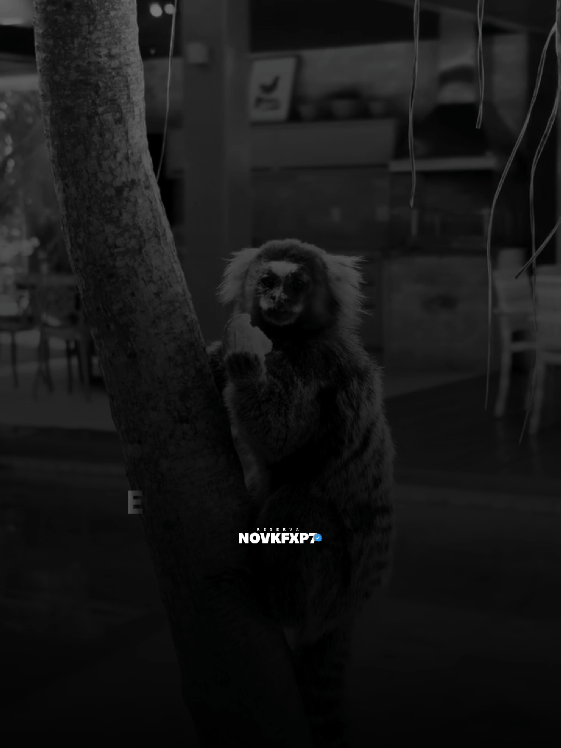 Talvez, Seja a hora de se retirar #mckako #foryou #funkconsciente #status #viral 