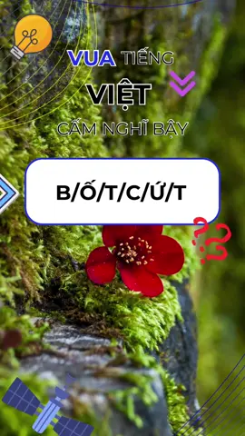 Vua tiếng việt | hãy ghép những chữ cái sau thành 1 từ có nghĩa #vuatiengviet #dovui #caudo #tracnghiem #cauhoi