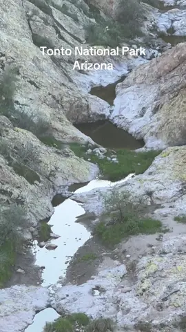 #nature #tontonationalforest #arizona #Outdoors #health 