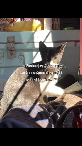 #fyp #kyawkhantnine #foryou #fyppppppppppppppppppppppp #virval 