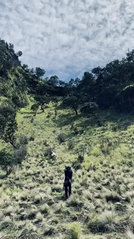 #lawumountain #pagarnusa 