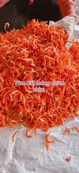 Hàng ngon víp toim đất móng chân chim#TômĐấtMóngChânChim #TômĐất #HàngNhàLàm #ĐặcSảnCàMau #ChaGioTieuTom @Hươngtrangchagiotieu  @huongtrangvuakho 