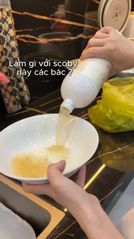 Có bác nào sưu tầm được con men như này chưa ạ? #fuwa3e #nuocngamruathucphamfuwa3e #scoby #enzyme #tuhaohangviet 