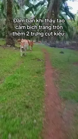 Của t🙏 #xuhuong 