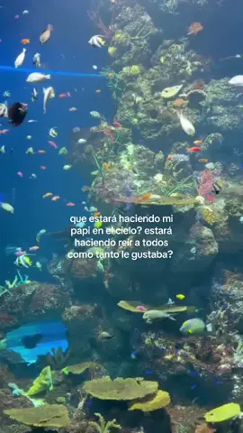 no sabes cuneta falta haces:( #fyp #imissyousomuch 