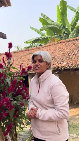 हिंसा विरुद्दमा बोलौं !!