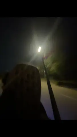 AnhXinLoi. #35ngaytrolai #thanhvinh #nvc 