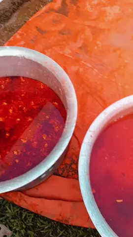 ভুনা খিচুড়ি,  এ খিচুড়ি খাওয়া স্বাস্থ্যের জন্য ক্ষতিকর 😁