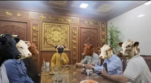 Dzị Huynh Đài này trông quen quen 🤣#drama #haihuoc #hai #vuinhon #giaitri 