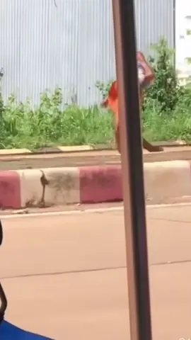 เป็นแค่ที่พักชั่วคราว😁#วันนี้ #❤️❤️❤️❤️❤️ #อย่าปิดกั้น 