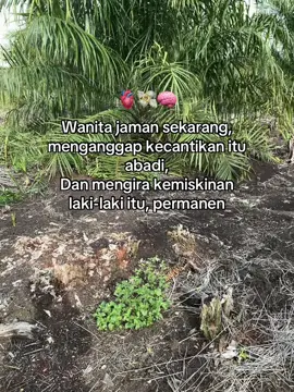 #sawitontiktok #foryoupage 