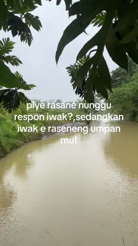 #microfishing #mancing #4u #katakata #jawapride #masukberanda #galau 