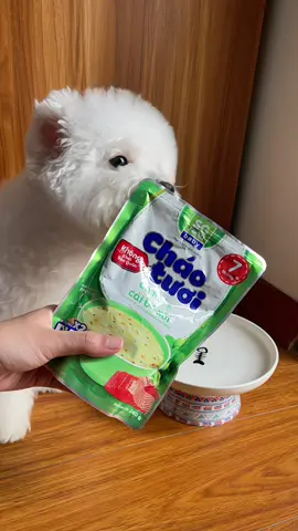Em bé 1 tuổi nay ăn cháo cá hồi & cải bó xôi 😝 #dừaiuđây #bichon #cún #xuhuong #tiktok 