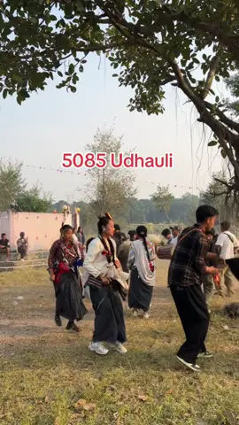 5085 udhauli ❤️@♡ #fypシ゚ #roniyachamling #trending 