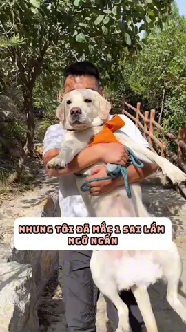 Dù nuôi chó 6 năm nhưng tôi đã mắc 1 sai lầm ngớ ngẩn #thucung #viral 