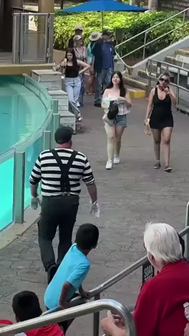 #mimes #tomthemime #mrbeast #seaworldmime #seaworld 