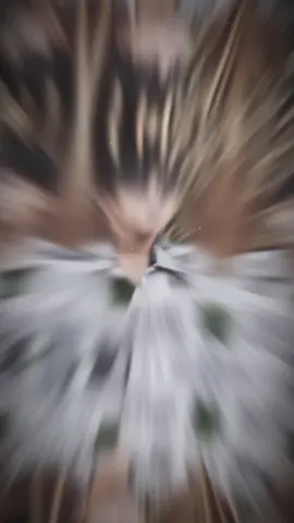 #CapCut cuốn #xuhuongggggg #Bnguartfun #Qvietrtfun #xh @qvietrtfun1 @ba.ngua.rtfun.1 