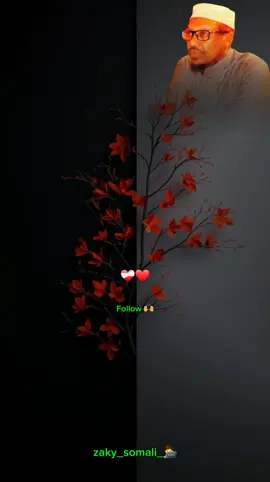 waa ninka aan dagaalba u baahan si uu u guuleesto-🫶❤️‍🩹🔥-#sheekhmustafe #zaky_somali #motivation #zaky_somali_🧑‍💻 