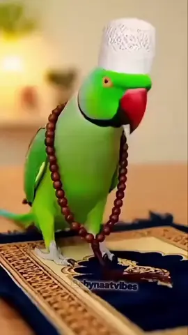 #foryou #foryourpage #viralvideo #ইনশাআল্লাহ_যাবে_foryou_তে। 