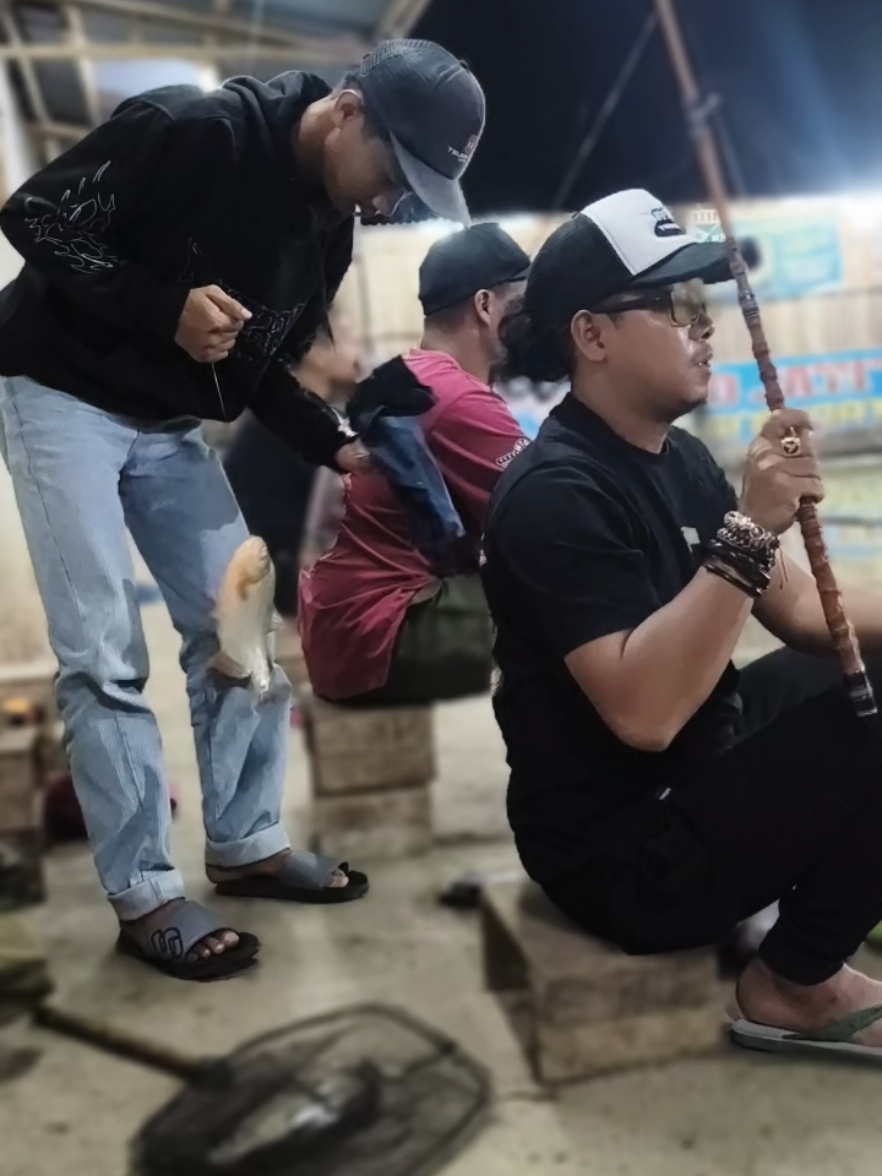 #LiveOutlandish  ikan bawal berterbangan... bareng jengki bawal...