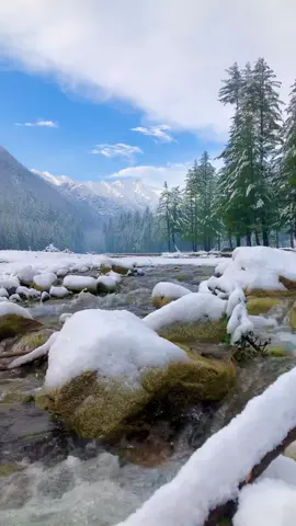 December,😭🙏 give us a sweet ending for this year.❄️#kumrat_valley #foryou #ihsankumrat #happynewyear #ihsankumrat 