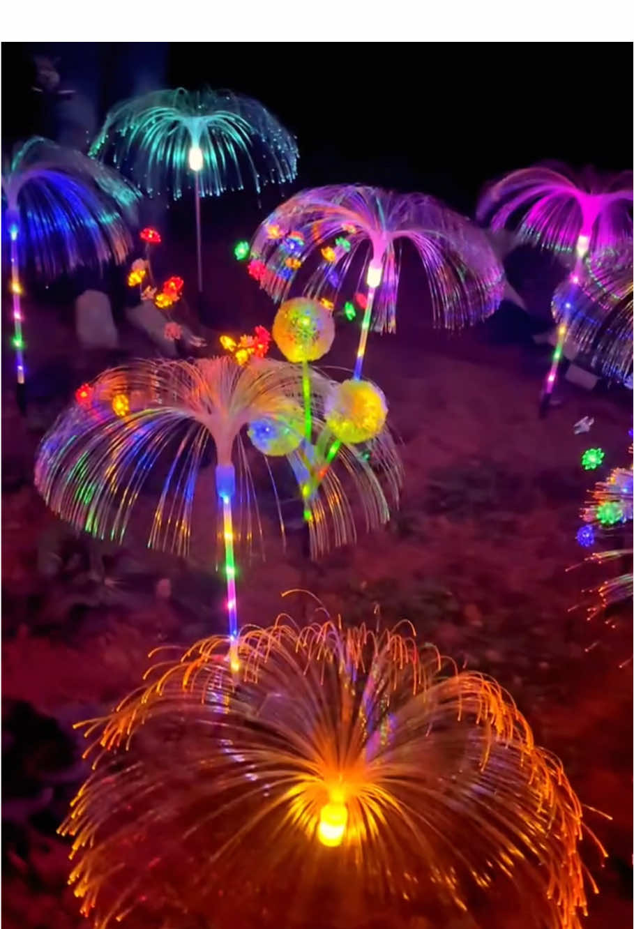 Đèn sứa 7 màu trang trí sân vườn siêu đẹp, đèn sử dụng năng lượng mặt trời rất tiện lợi #dentrangtri #dentrangtringoaitroi #xuhuong #dodungtienich 