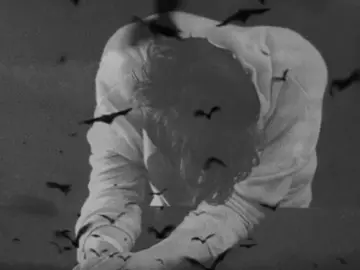 لا تِظن ينفعني عذرَك ! .                                                                                                         #تصاميم_فيديوهات🎵🎤🎬 #تصاميم_فيديوهات🎵🎤🎬 #ابو_وهج #ام_وهج #اكسبلور 