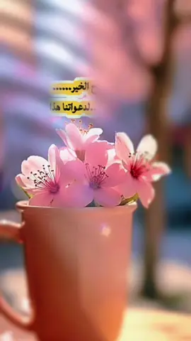 #صباح_الخير 🌸💕#اكسبلور #خواطر #CapCut 