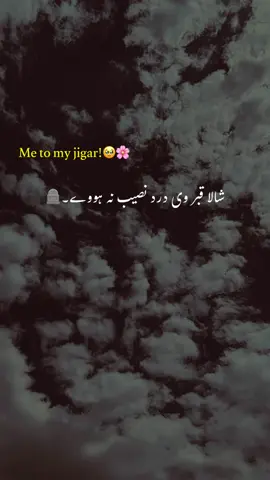 شالا قبر وی درد نضیب نہ ہووے۔🫠🥹🌸#fyp #foryou #unfrezzmyaccount 