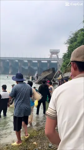 Trải nghiệm 1 ngày bắt cá ở đập thuỷ điện 