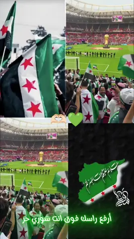 #CapCut #💚🤍🖤سوريا #🦅💚🦅💚🦅💚🦅💚💚💚💚🦅🦅🦅 