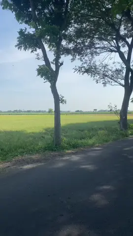 🥀#fyp #herexjatim300cc 