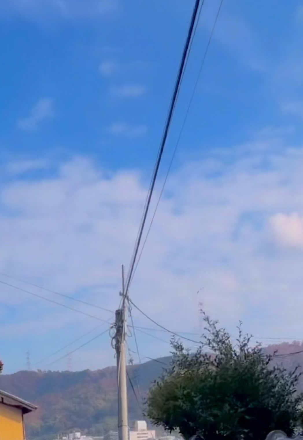 田舎やけどそれがまたいいんだよねー‪🌱⋆｡