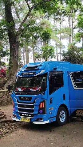 elf e sadar nak di vidio😖😖 @mr_kotrek #mekarjayatransport #hartonoputrakaroseri #fyppppppppppppppppppppppp #xyzabc #pijarpark 