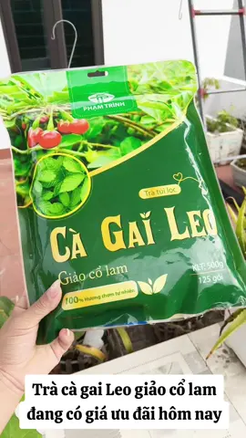 Trà cà gai Leo giảo cổ lam đang có giá ưu đãi hôm nay #tracagaileotuiloc #cagaileo #tracagaileogiaocolam 