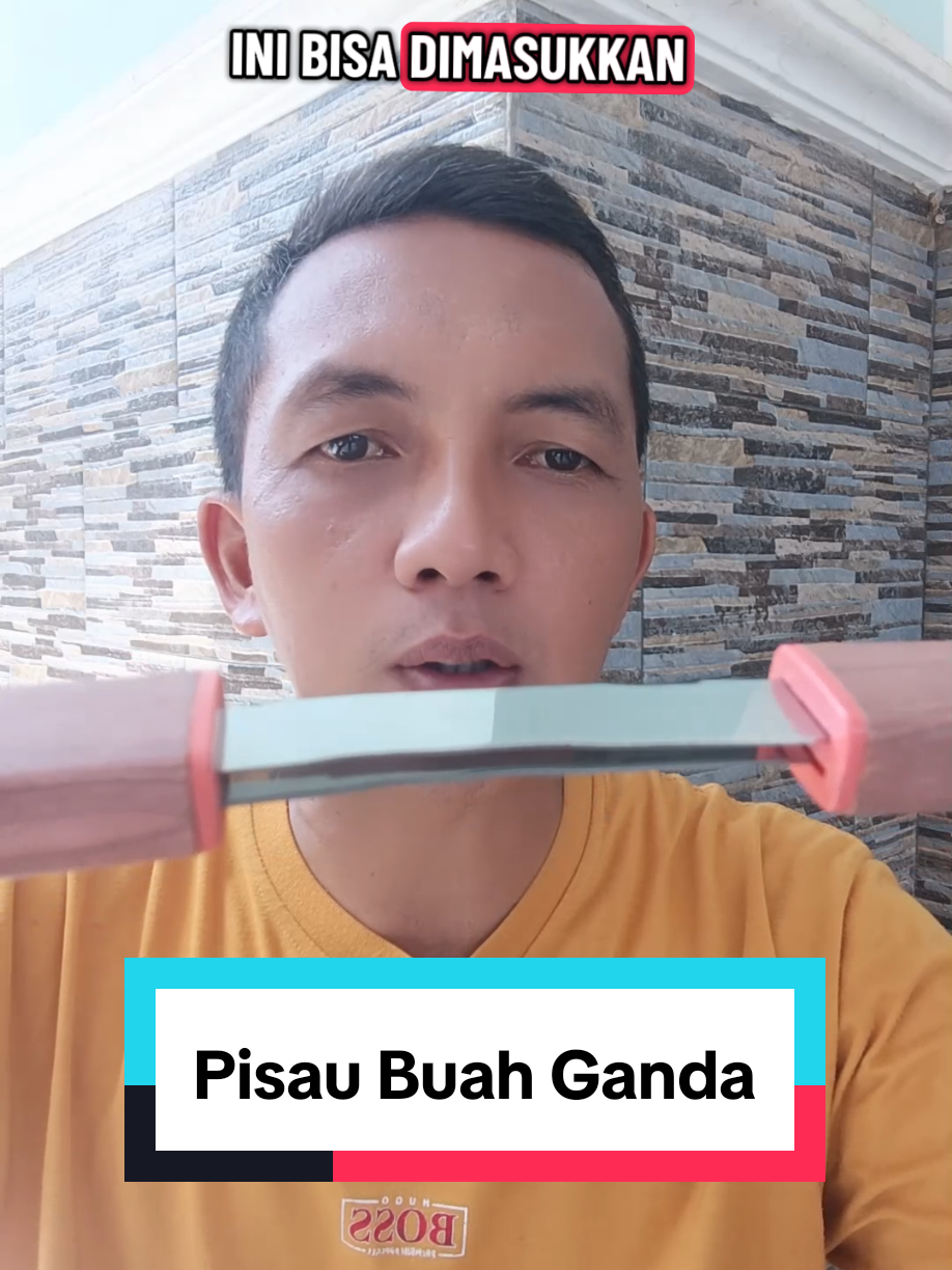 Pisau buah pisau ganda multifungsi rumah tangga #pisaumultifungsi #pisaubuah #pisaustainless #pisauganda #pisautajam🔪 