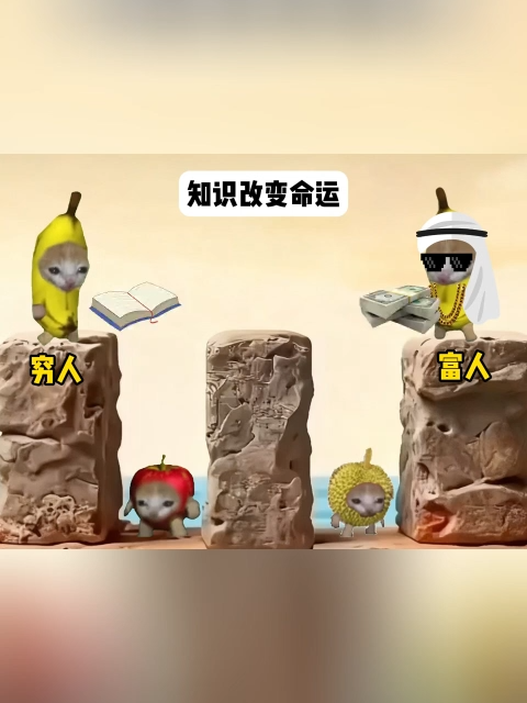 知識改變命運#貓meme小劇場 #內容過於真實 #搞笑视频 #真實事件 #抽象