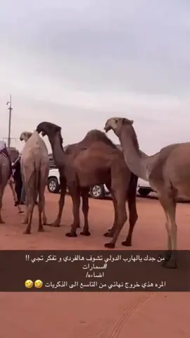 #اكسبلور #اكسبلورexplore #تصويري #سمارات #عتيبه 