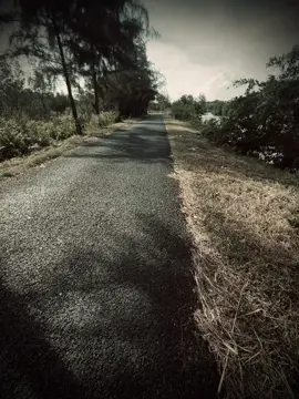 “心可以等,但时间不能等.....总有一天我们会发 现,我们一直在等错误的人。” 